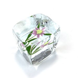 Pink Daisy Experimental Cube by Paul Stankard
